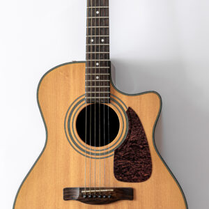 Guitarra Acústica Virtual