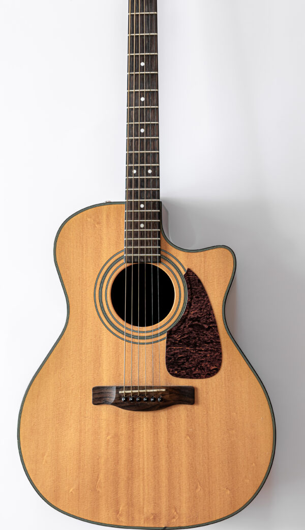 Guitarra Acústica Virtual
